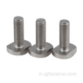 Thép không gỉ tùy chỉnh đầu vuông T Bolt